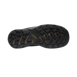 Best Men'S Circadia Waterproof Boot | Bison/Brindle Men Boots
