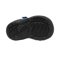 Best Toddlers' Newport H2Sho | Multi/Bright Cobalt Kids Shoes